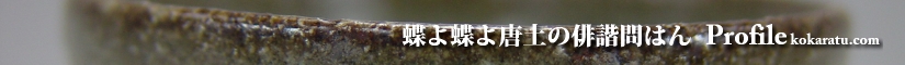 古唐津に魅せられて プロフィール 蝶よ蝶よ唐土の俳諧問はん  Profile 胡蝶楽群遊