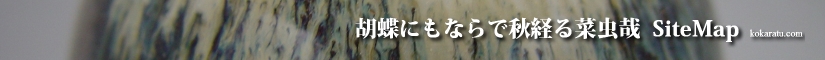 古唐津に魅せられた唐津焼きの陶芸家のサイトマップ－胡蝶にもならで秋経る菜虫哉