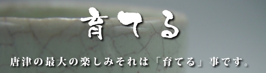 唐津の杯の魅力は、育てる楽しみ